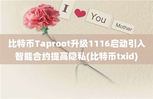 比特币Taproot升级1116启动引入智能合约提高隐私(比特币txid)