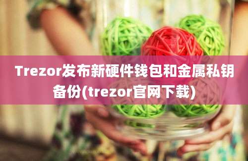 Trezor发布新硬件钱包和金属私钥备份(trezor官网下载)