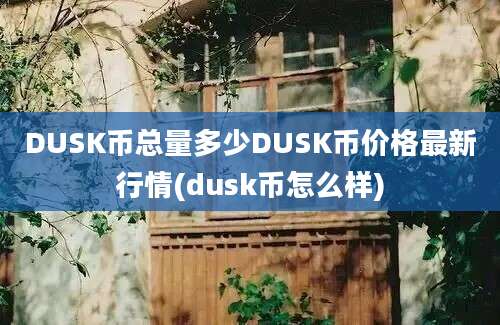 DUSK币总量多少DUSK币价格最新行情(dusk币怎么样)