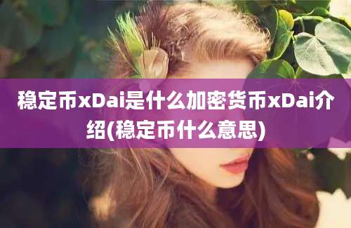 稳定币xDai是什么加密货币xDai介绍(稳定币什么意思)