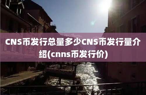 CNS币发行总量多少CNS币发行量介绍(cnns币发行价)