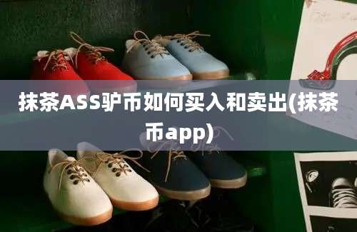 抹茶ASS驴币如何买入和卖出(抹茶币app)