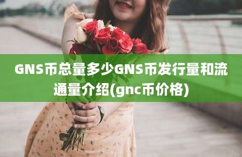 GNS币总量多少GNS币发行量和流通量介绍(gnc币价格)