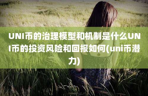 UNI币的治理模型和机制是什么UNI币的投资风险和回报如何(uni币潜力)