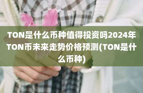 TON是什么币种值得投资吗2024年TON币未来走势价格预测(TON是什么币种)