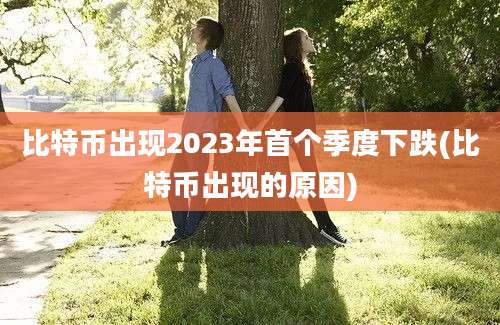 比特币出现2023年首个季度下跌(比特币出现的原因)