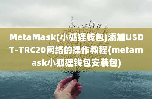 MetaMask(小狐狸钱包)添加USDT-TRC20网络的操作教程(metamask小狐狸钱包安装包)