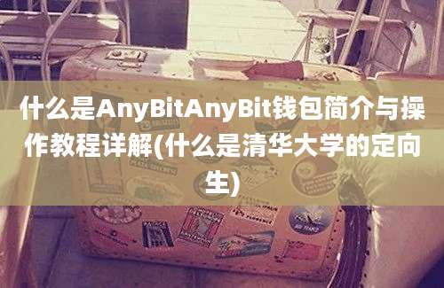 什么是AnyBitAnyBit钱包简介与操作教程详解(什么是清华大学的定向生)