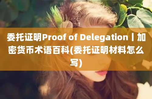 委托证明Proof of Delegation丨加密货币术语百科(委托证明材料怎么写)