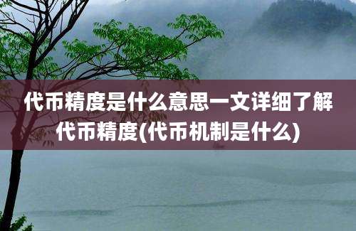 代币精度是什么意思一文详细了解代币精度(代币机制是什么)