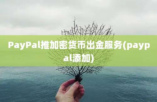 PayPal推加密货币出金服务(paypal添加)