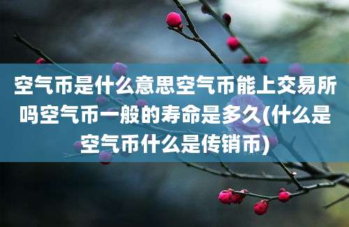 空气币是什么意思空气币能上交易所吗空气币一般的寿命是多久(什么是空气币什么是传销币)