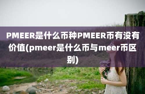 PMEER是什么币种PMEER币有没有价值(pmeer是什么币与meer币区别)