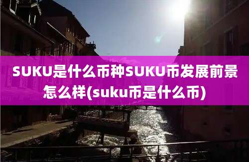 SUKU是什么币种SUKU币发展前景怎么样(suku币是什么币)