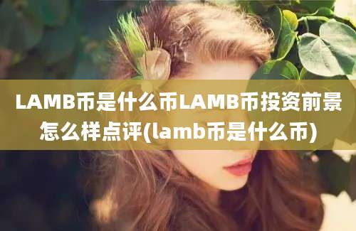 LAMB币是什么币LAMB币投资前景怎么样点评(lamb币是什么币)