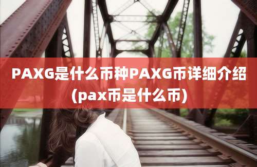 PAXG是什么币种PAXG币详细介绍(pax币是什么币)