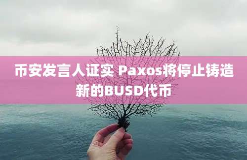 币安发言人证实 Paxos将停止铸造新的BUSD代币