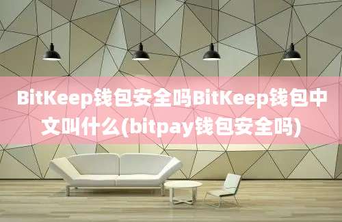 BitKeep钱包安全吗BitKeep钱包中文叫什么(bitpay钱包安全吗)