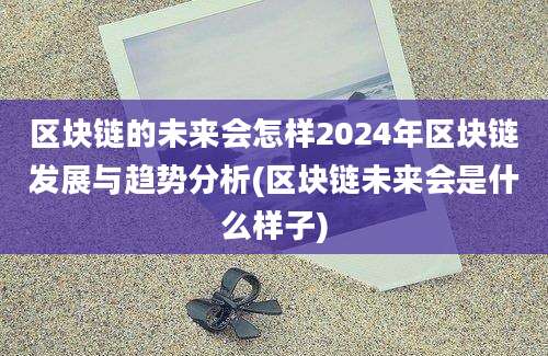 区块链的未来会怎样2024年区块链发展与趋势分析(区块链未来会是什么样子)