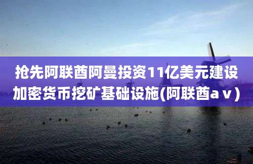 抢先阿联酋阿曼投资11亿美元建设加密货币挖矿基础设施(阿联酋aⅴ)