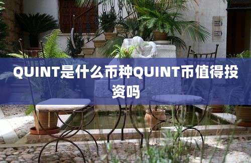 QUINT是什么币种QUINT币值得投资吗