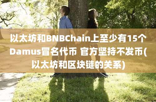 以太坊和BNBChain上至少有15个Damus冒名代币 官方坚持不发币(以太坊和区块链的关系)