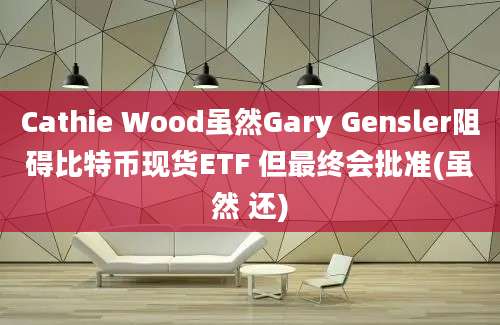 Cathie Wood虽然Gary Gensler阻碍比特币现货ETF 但最终会批准(虽然 还)