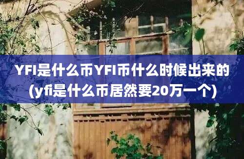 YFI是什么币YFI币什么时候出来的(yfi是什么币居然要20万一个)