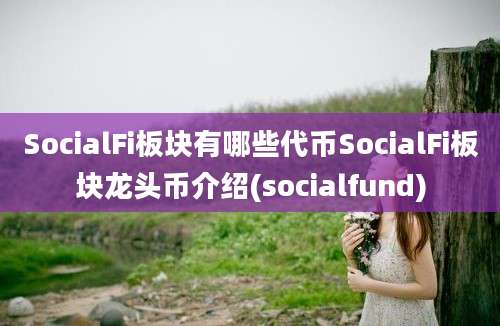 SocialFi板块有哪些代币SocialFi板块龙头币介绍(socialfund)