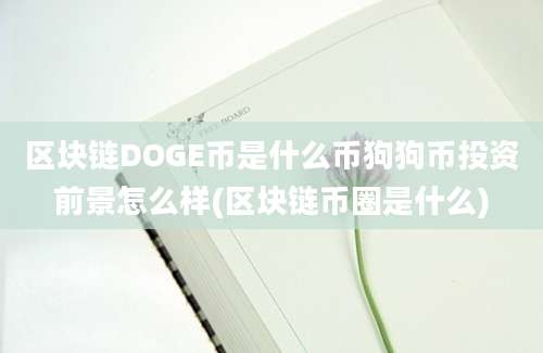 区块链DOGE币是什么币狗狗币投资前景怎么样(区块链币圈是什么)