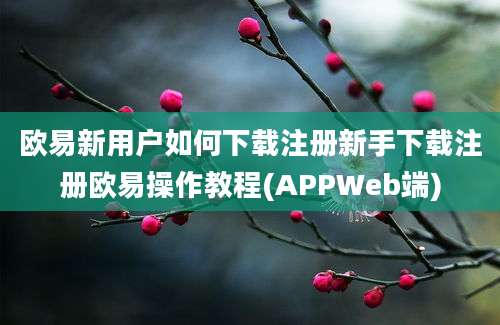 欧易新用户如何下载注册新手下载注册欧易操作教程(APPWeb端)