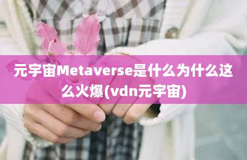 元宇宙Metaverse是什么为什么这么火爆(vdn元宇宙)