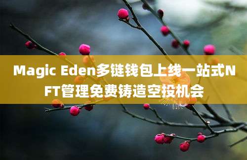 Magic Eden多链钱包上线一站式NFT管理免费铸造空投机会