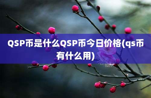 QSP币是什么QSP币今日价格(qs币有什么用)