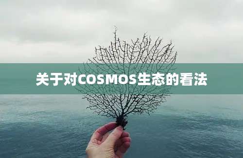 关于对COSMOS生态的看法