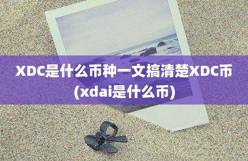 XDC是什么币种一文搞清楚XDC币(xdai是什么币)