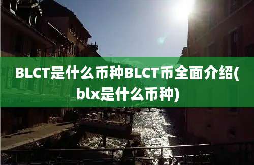 BLCT是什么币种BLCT币全面介绍(blx是什么币种)