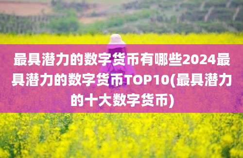 最具潜力的数字货币有哪些2024最具潜力的数字货币TOP10(最具潜力的十大数字货币)