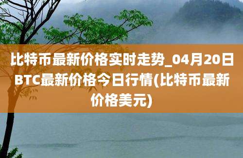 比特币最新价格实时走势_04月20日BTC最新价格今日行情(比特币最新价格美元)