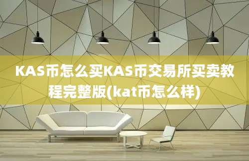 KAS币怎么买KAS币交易所买卖教程完整版(kat币怎么样)