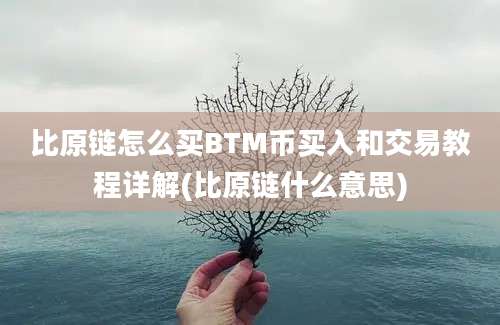 比原链怎么买BTM币买入和交易教程详解(比原链什么意思)