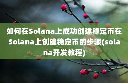 如何在Solana上成功创建稳定币在Solana上创建稳定币的步骤(solana开发教程)