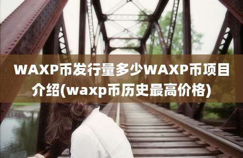 WAXP币发行量多少WAXP币项目介绍(waxp币历史最高价格)