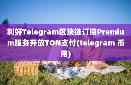 利好Telegram区块链订阅Premium服务开放TON支付(telegram 币用)