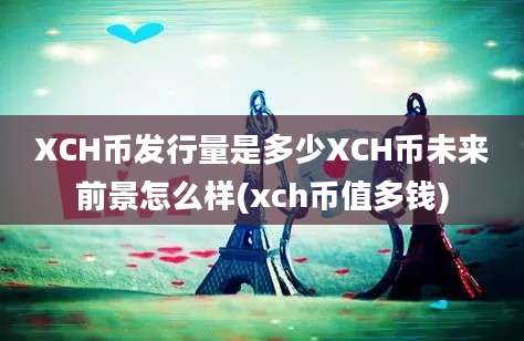 XCH币发行量是多少XCH币未来前景怎么样(xch币值多钱)