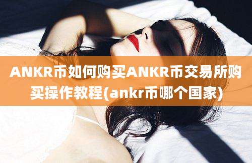 ANKR币如何购买ANKR币交易所购买操作教程(ankr币哪个国家)