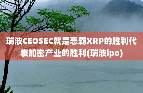 瑞波CEOSEC就是恶霸XRP的胜利代表加密产业的胜利(瑞波ipo)