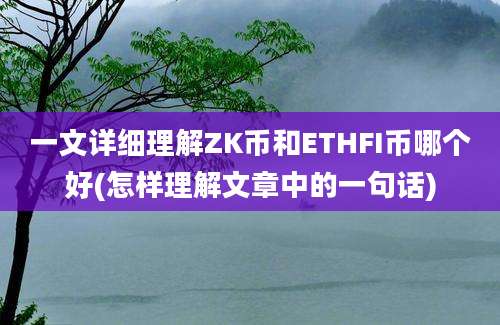 一文详细理解ZK币和ETHFI币哪个好(怎样理解文章中的一句话)