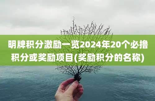 明牌积分激励一览2024年20个必撸积分或奖励项目(奖励积分的名称)