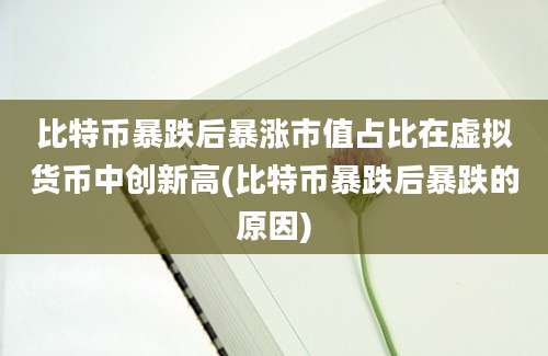 比特币暴跌后暴涨市值占比在虚拟货币中创新高(比特币暴跌后暴跌的原因)